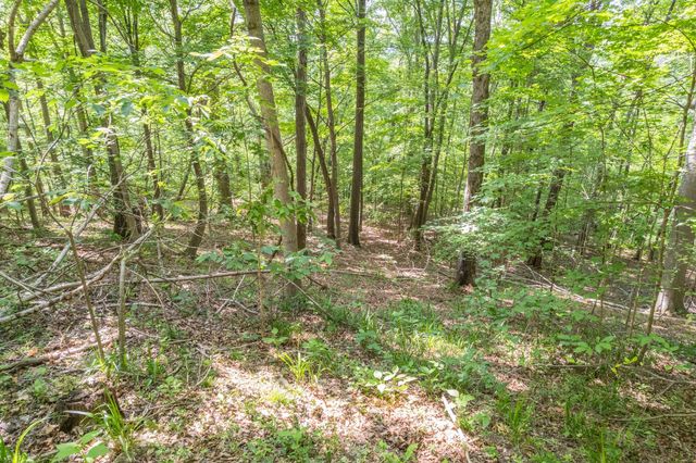 0 Haze Hyde Hollow Rd, Bethpage, TN 37022