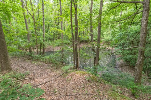 0 Haze Hyde Hollow Rd, Bethpage, TN 37022
