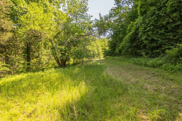 0 Haze Hyde Hollow Rd, Bethpage, TN 37022
