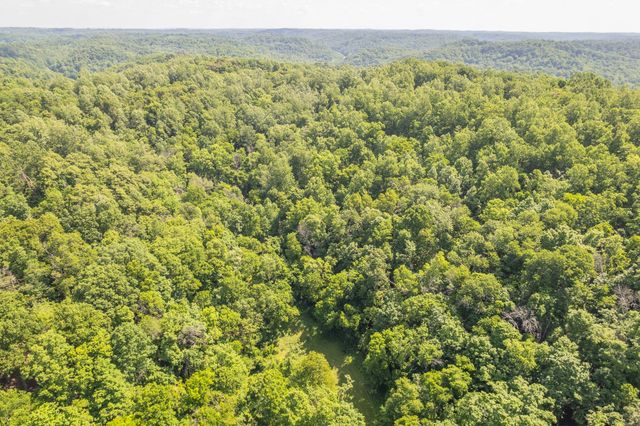 0 Haze Hyde Hollow Rd, Bethpage, TN 37022