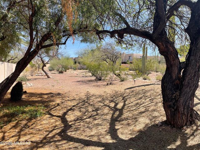 508 E Squirrel Tail Drive, Tucson, AZ 85704