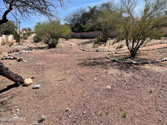 508 E Squirrel Tail Drive, Tucson, AZ 85704