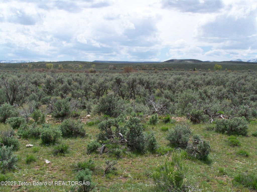 139 N PINEY LAKE 23-159, Big Piney, WY 83113 photo 29