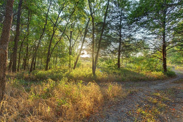 8615 County Road 534, Whitewright, TX 75491