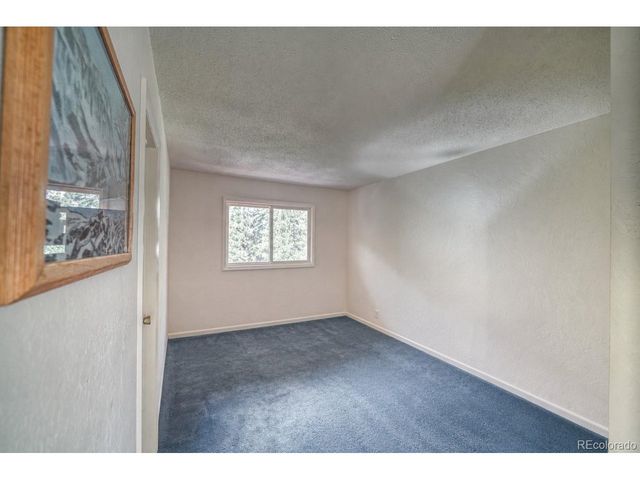 15351 Chimney Rock Rd, Nathrop, CO 81236