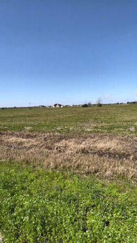 0 Fm 521 Road, Angleton, TX 77515