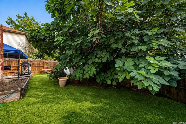 7 Stallion, San Antonio, TX 78238