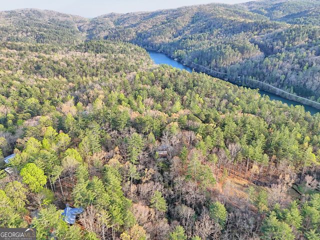604 Tame Turkey Road, Lakemont, GA 30552