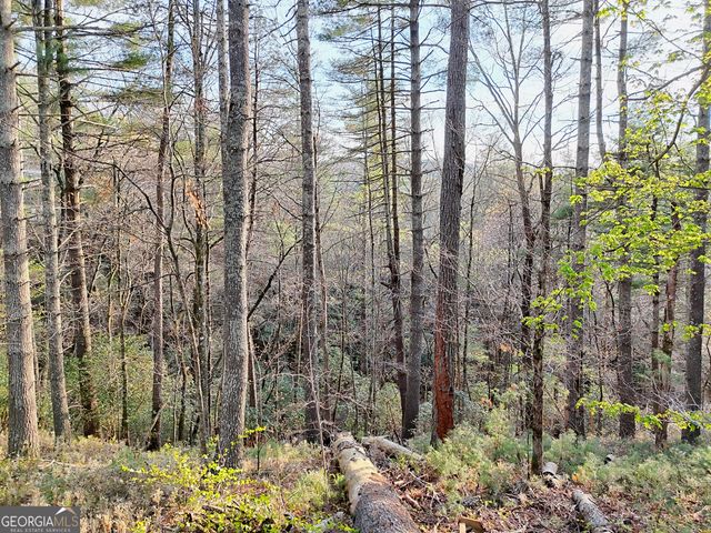 604 Tame Turkey Road, Lakemont, GA 30552