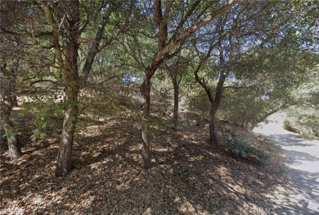 625 Falls, Topanga, CA 90290