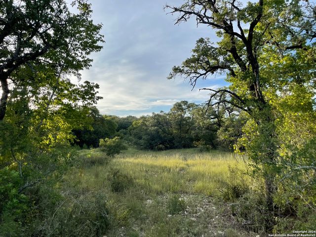 463 Bruin Creek Rd, Bandera, TX 78003