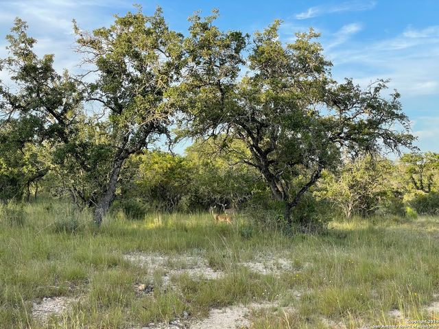 463 Bruin Creek Rd, Bandera, TX 78003