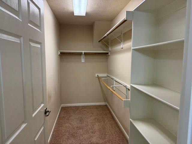 43 Abercrombie Place, Conroe, TX 77384