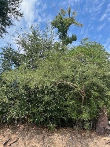 0 LeDoux Road, Iowa, LA 70647