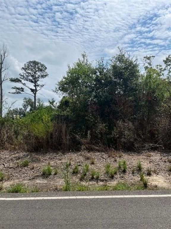 0 LeDoux Road, Iowa, LA 70647