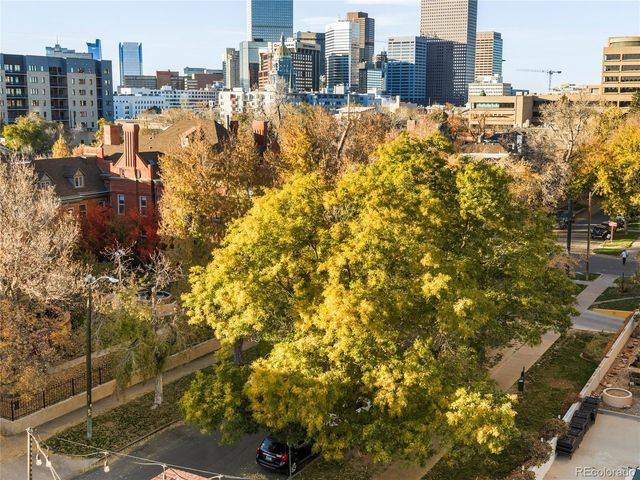 1130 N Pennsylvania Street 202, Denver, CO 80203