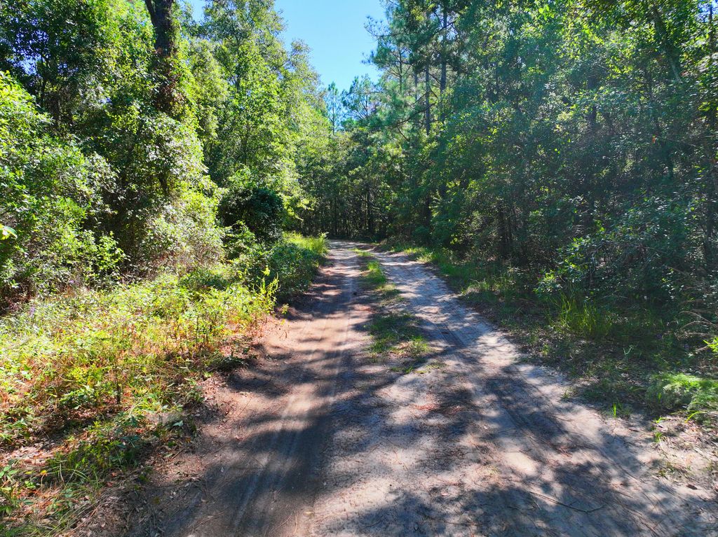 Lot 6 Olivia Lane, Milton, FL 32583