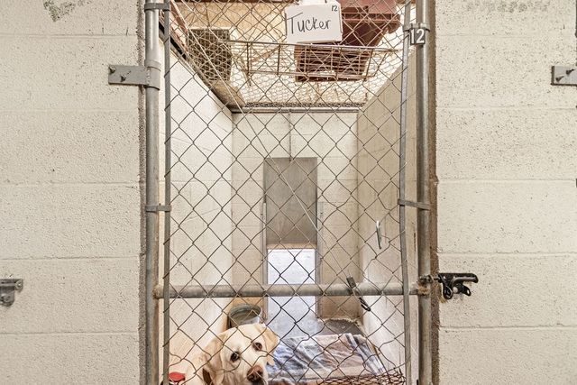 6310 Alderfer, Odessa, TX 79762