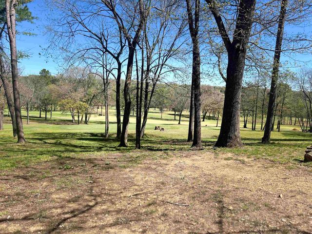 9 Kere Trace, Cherokee Village, AR 72529
