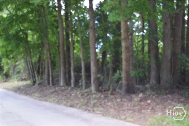 102 Trellis Way, Savannah, GA 31419