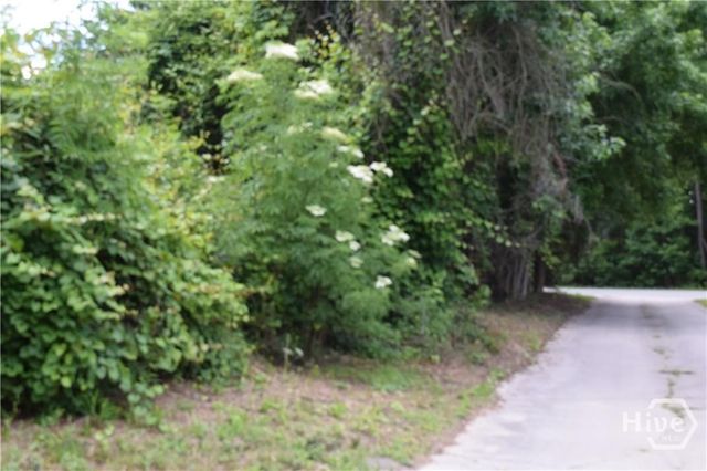 102 Trellis Way, Savannah, GA 31419