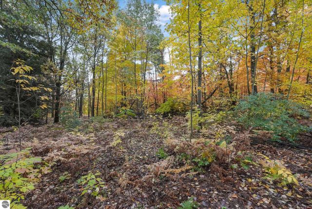 TBD S Carriage Hill, Traverse City, MI 49686