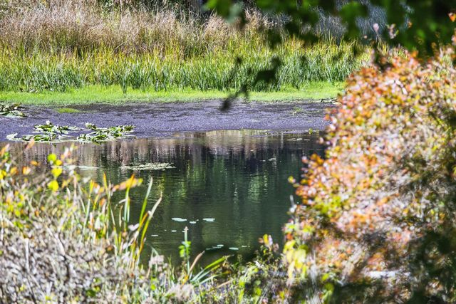 34 Lake Drive, Orleans, MA 02653