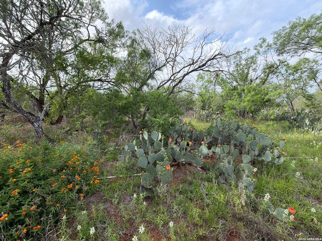 3980 Highway 173, Jourdanton, TX 78026