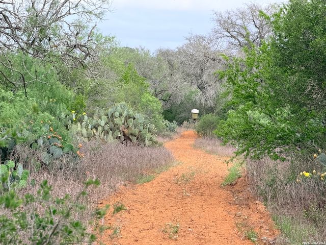 3980 Highway 173, Jourdanton, TX 78026