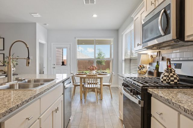 140 Orchard Pines Place, Boyd, TX 76023