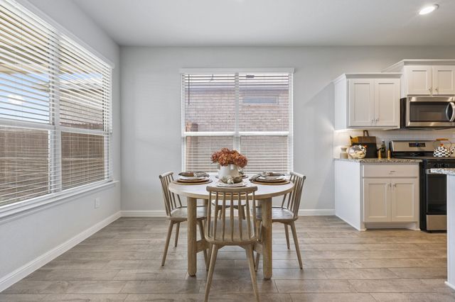 140 Orchard Pines Place, Boyd, TX 76023