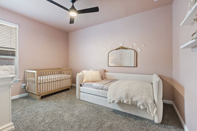 140 Orchard Pines Place, Boyd, TX 76023