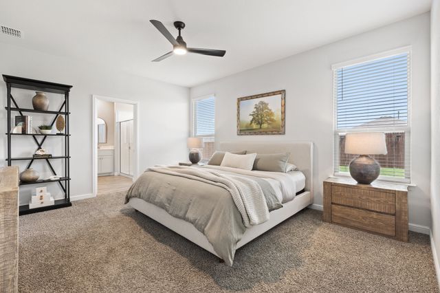 140 Orchard Pines Place, Boyd, TX 76023