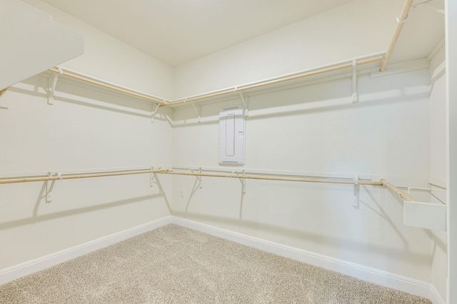 17813 Bassano Ave, Pflugerville, TX 78660