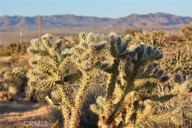 5374 Marvin Drive, Yucca Valley, CA 92284