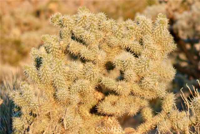 5374 Marvin Drive, Yucca Valley, CA 92284