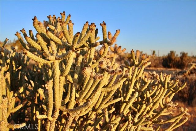 5374 Marvin Drive, Yucca Valley, CA 92284