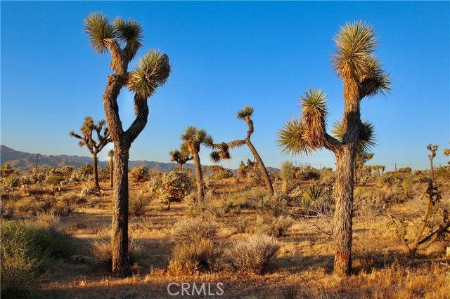 5374 Marvin Drive, Yucca Valley, CA 92284