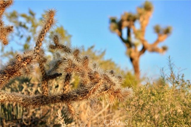 5374 Marvin Drive, Yucca Valley, CA 92284