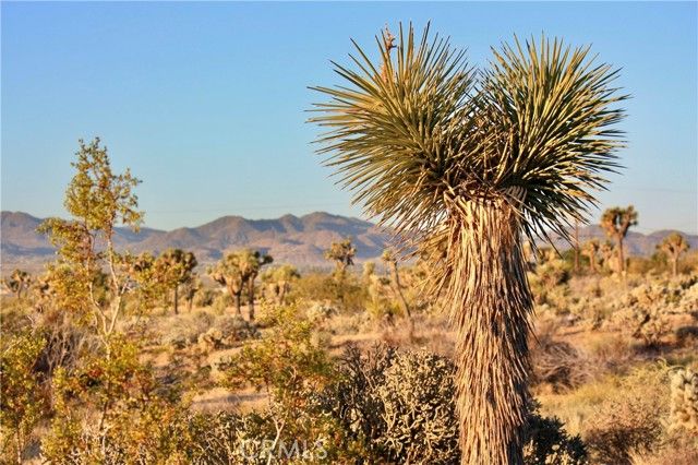 5374 Marvin Drive, Yucca Valley, CA 92284