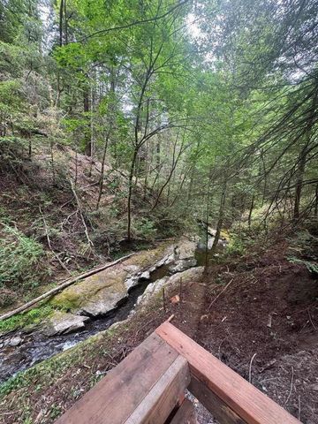 14251 Pescadero Creek Road 4, La Honda, CA 94020