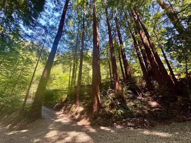 14251 Pescadero Creek Road 4, La Honda, CA 94020