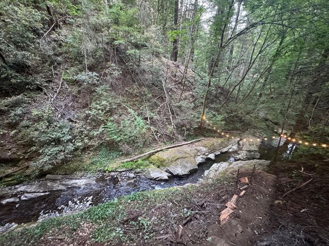 14251 Pescadero Creek Road 4, La Honda, CA 94020