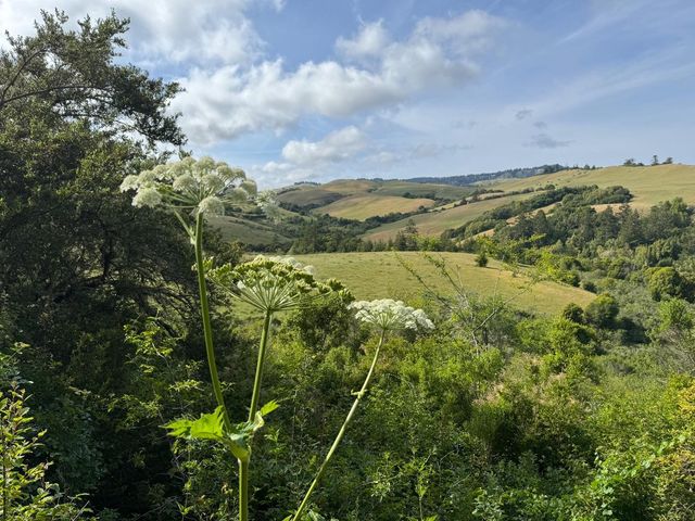 14251 Pescadero Creek Road 4, La Honda, CA 94020