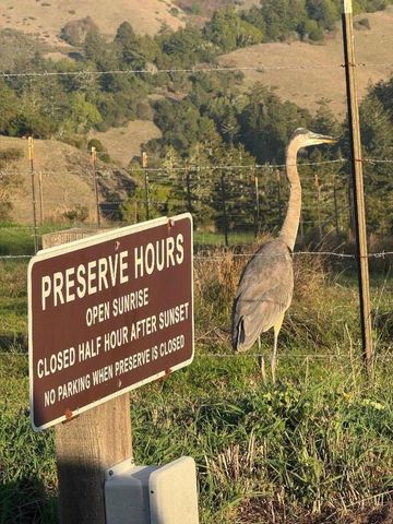 14251 Pescadero Creek Road 4, La Honda, CA 94020