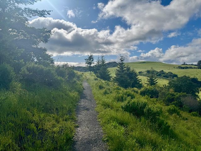 14251 Pescadero Creek Road 4, La Honda, CA 94020