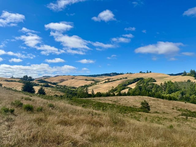 14251 Pescadero Creek Road 4, La Honda, CA 94020
