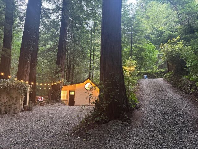 14251 Pescadero Creek Road 4, La Honda, CA 94020