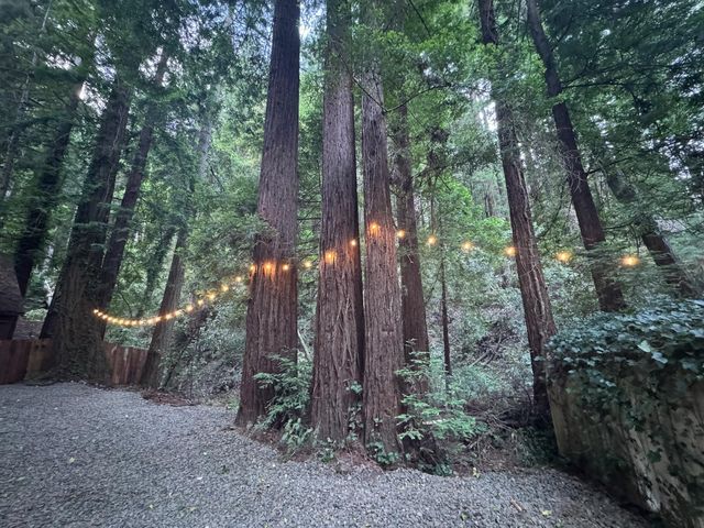 14251 Pescadero Creek Road 4, La Honda, CA 94020