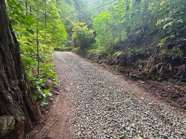 14251 Pescadero Creek Road 4, La Honda, CA 94020